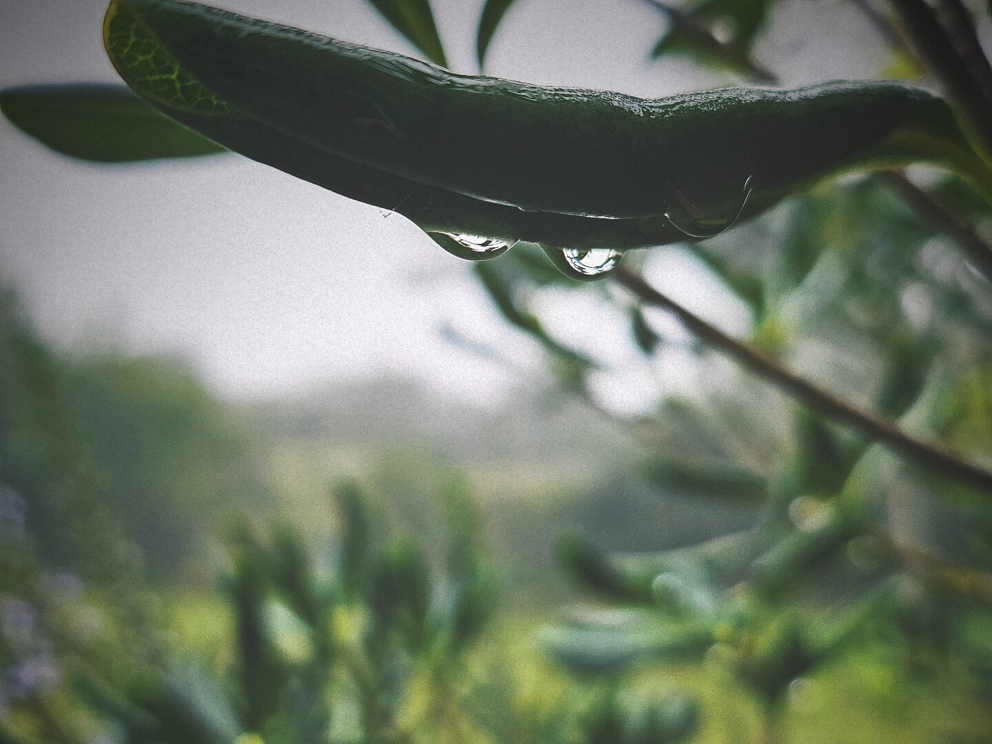 Embrace slow living in your own rhythm