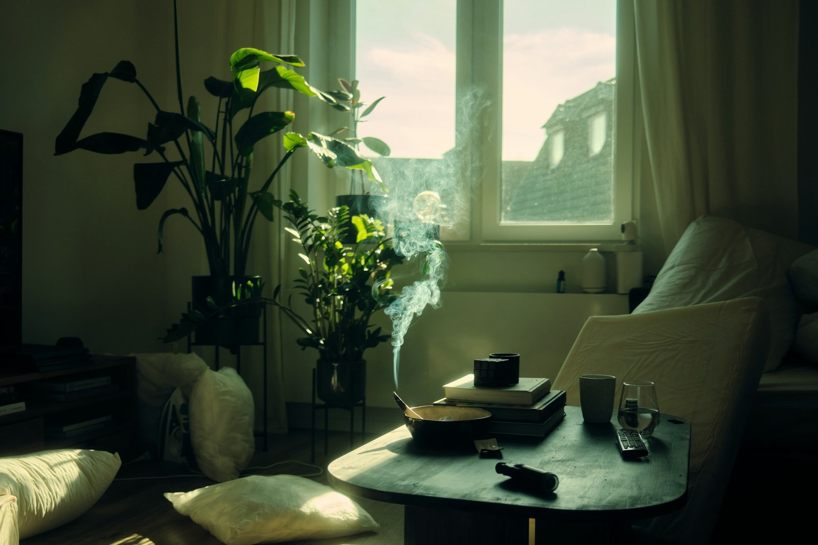 How to start slow living – peaceful scene with the sun entering the living room