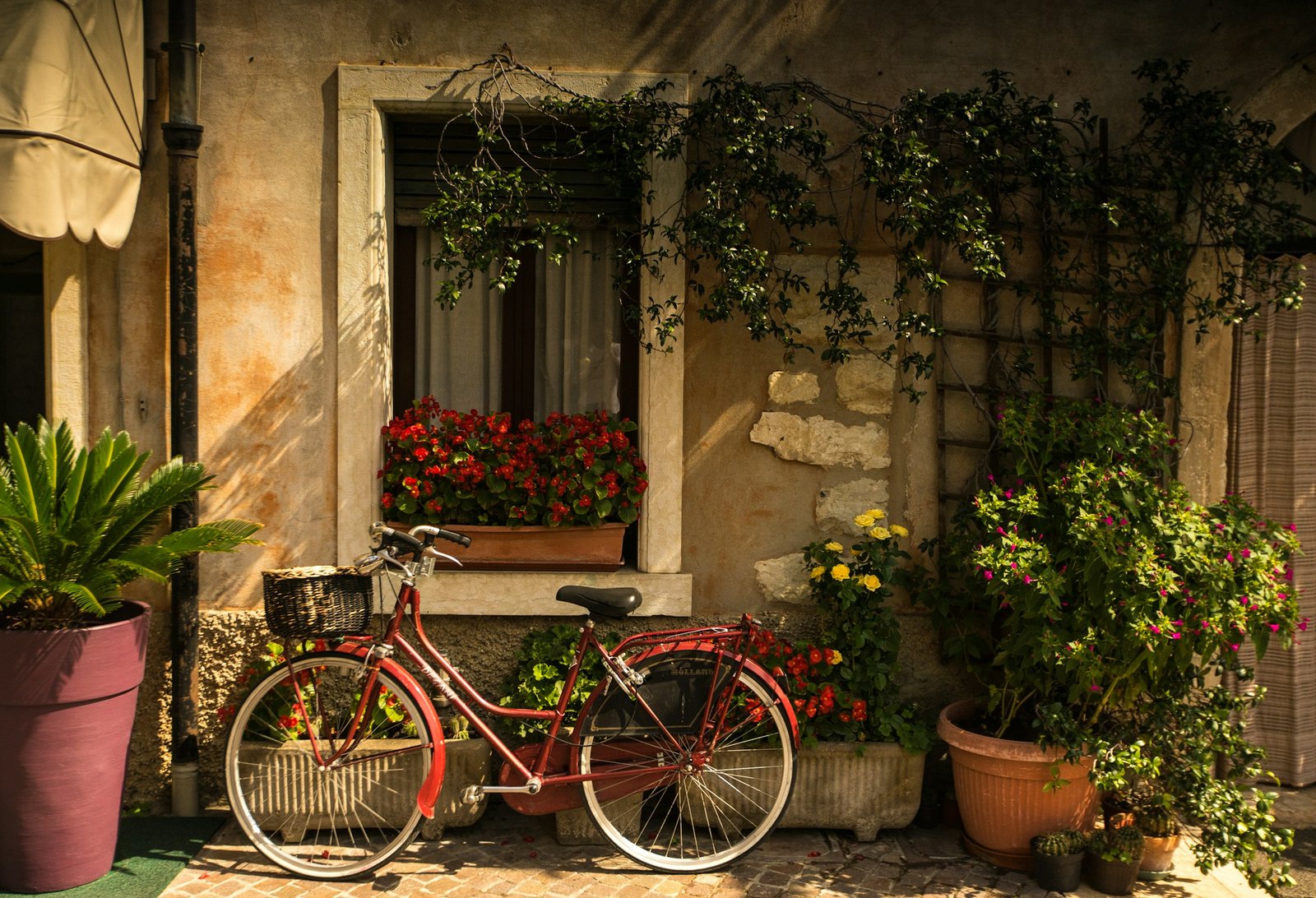 The Slow Living muth of Perfect Aesthetic