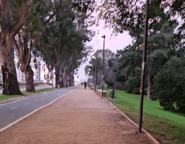 Slow Living Daily Routine - A serene evening walk