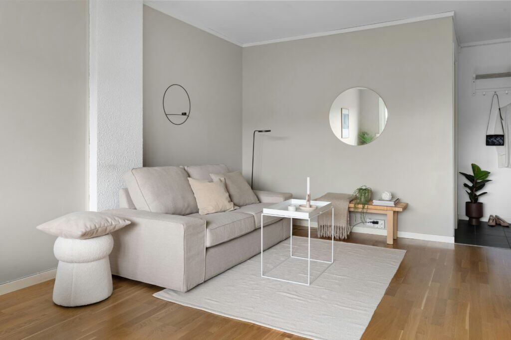 Minimalistic Living Room